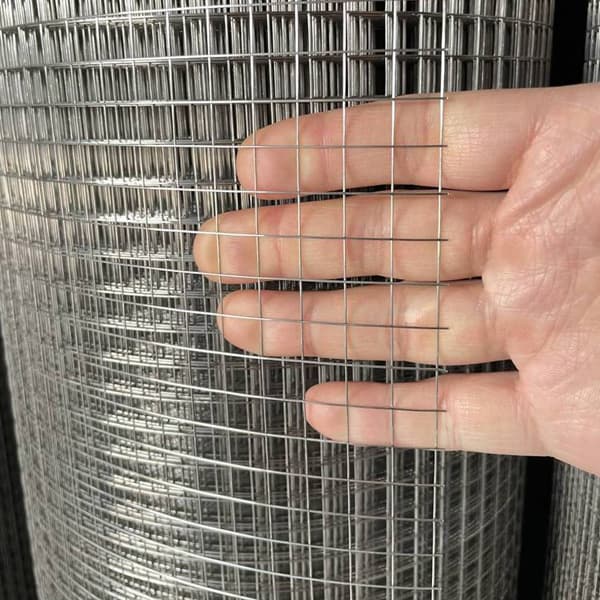 Stainless Steel Welded Roll Mesh